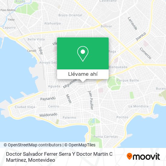 Mapa de Doctor Salvador Ferrer Serra Y Doctor Martín C Martínez