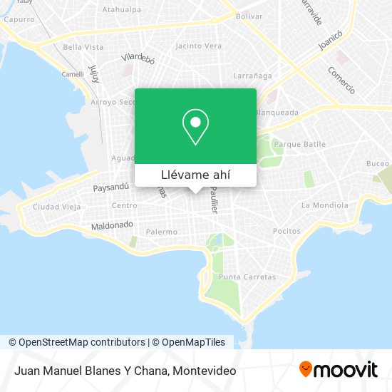 Mapa de Juan Manuel Blanes Y Chana
