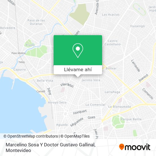 Mapa de Marcelino Sosa Y Doctor Gustavo Gallinal