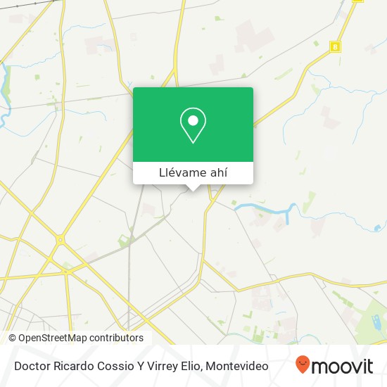 Mapa de Doctor Ricardo Cossio Y Virrey Elio