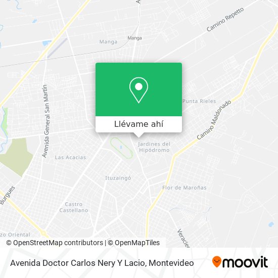 Mapa de Avenida Doctor Carlos Nery Y Lacio