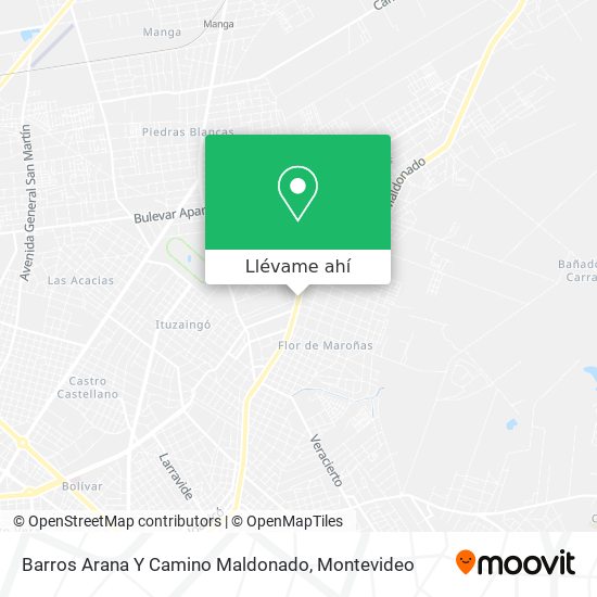Mapa de Barros Arana Y Camino Maldonado