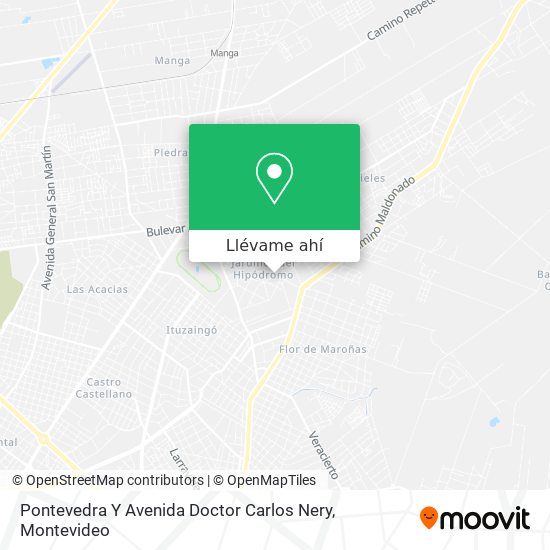 Mapa de Pontevedra Y Avenida Doctor Carlos Nery