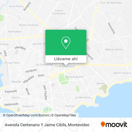 Mapa de Avenida Centenario Y Jaime Cibils