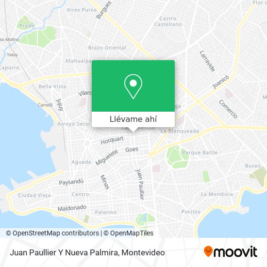 Mapa de Juan Paullier Y Nueva Palmira