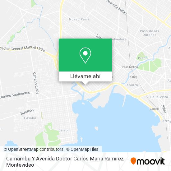 Mapa de Camambú Y Avenida Doctor Carlos María Ramírez