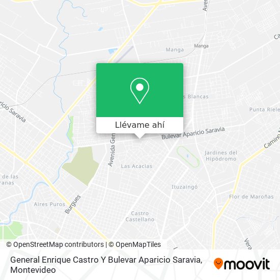 Mapa de General Enrique Castro Y Bulevar Aparicio Saravia