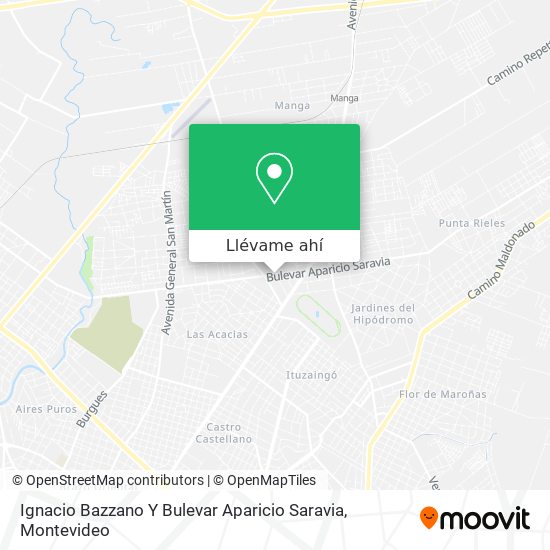 Mapa de Ignacio Bazzano Y Bulevar Aparicio Saravia