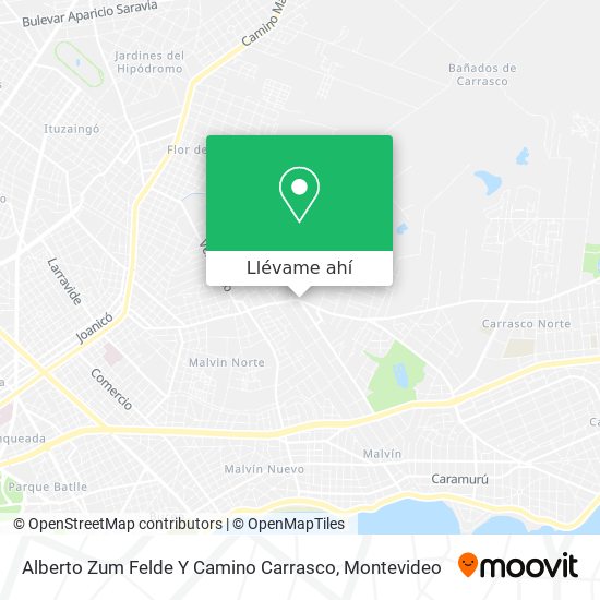 Mapa de Alberto Zum Felde Y Camino Carrasco