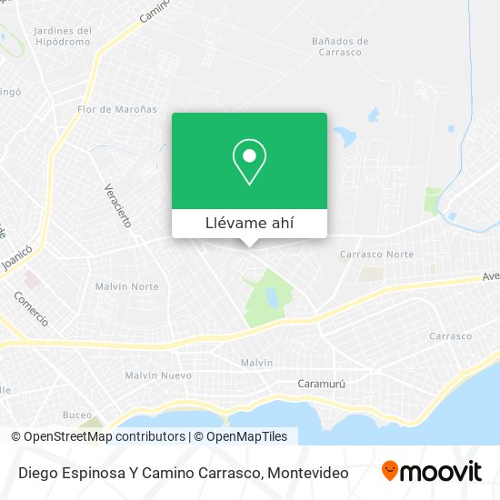 Mapa de Diego Espinosa Y Camino Carrasco