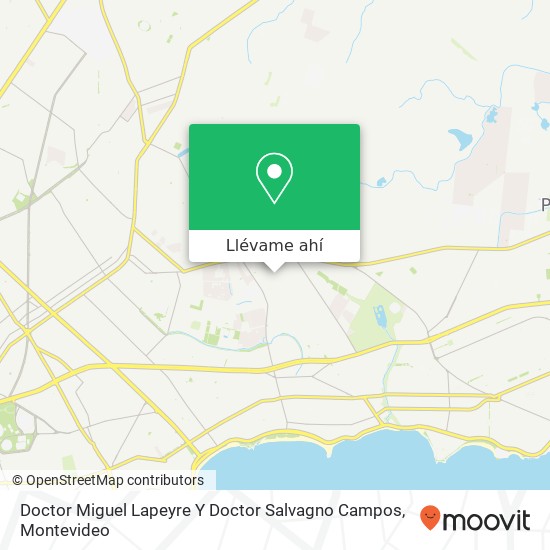 Mapa de Doctor Miguel Lapeyre Y Doctor Salvagno Campos