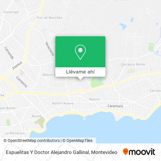 Mapa de Espuelitas Y Doctor Alejandro Gallinal