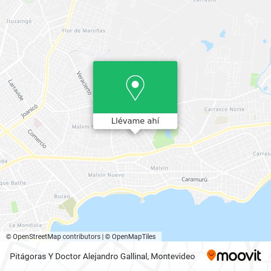 Mapa de Pitágoras Y Doctor Alejandro Gallinal