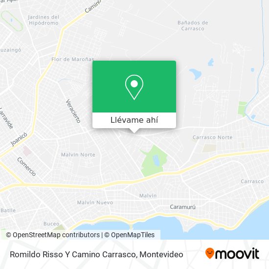 Mapa de Romildo Risso Y Camino Carrasco