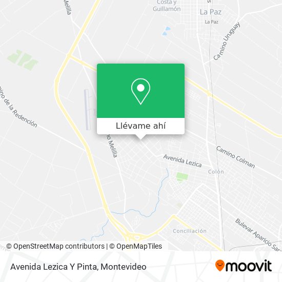 Mapa de Avenida Lezica Y Pinta