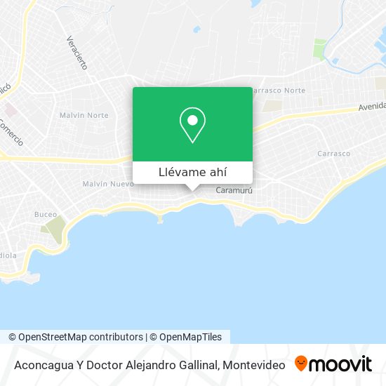 Mapa de Aconcagua Y Doctor Alejandro Gallinal