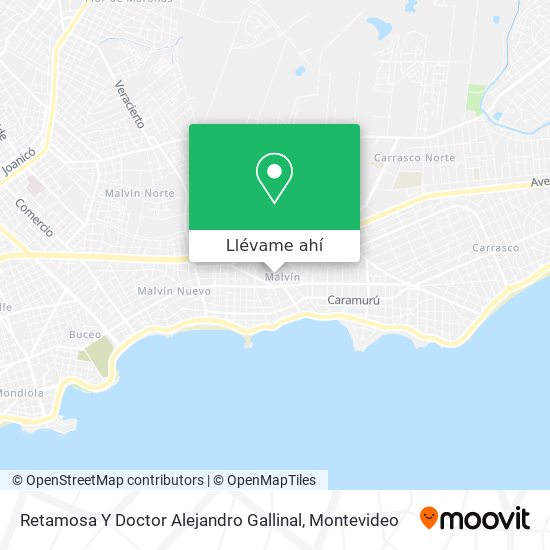 Mapa de Retamosa Y Doctor Alejandro Gallinal