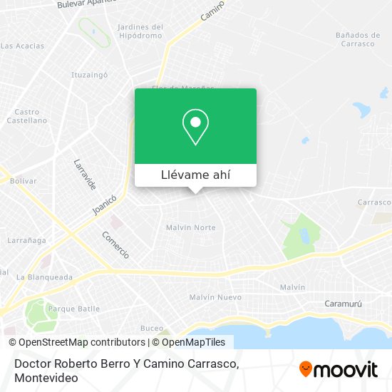 Mapa de Doctor Roberto Berro Y Camino Carrasco