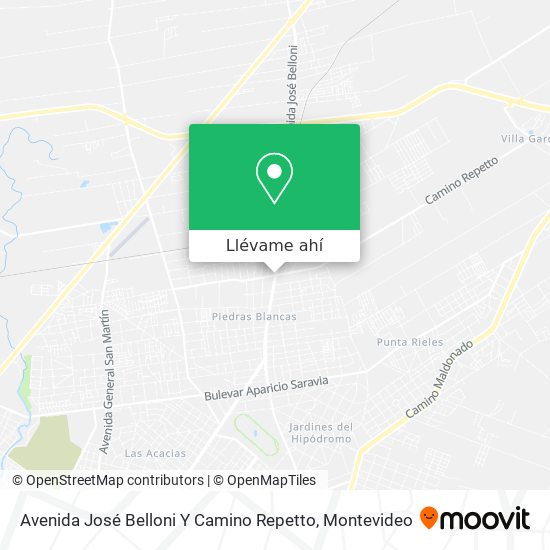 Mapa de Avenida José Belloni Y Camino Repetto