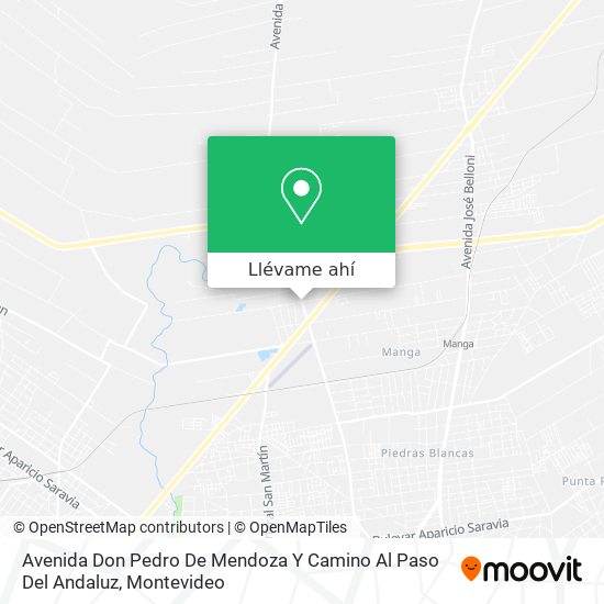 Mapa de Avenida Don Pedro De Mendoza Y Camino Al Paso Del Andaluz