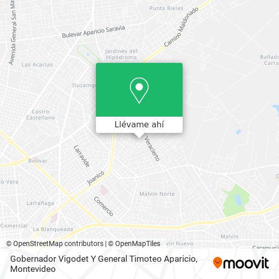 Mapa de Gobernador Vigodet Y General Timoteo Aparicio