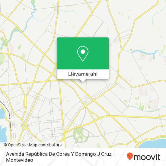 Mapa de Avenida República De Corea Y Domingo J Cruz