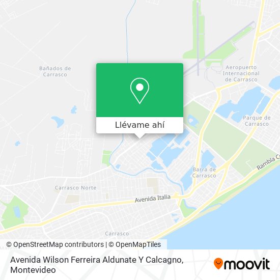 Mapa de Avenida Wilson Ferreira Aldunate Y Calcagno