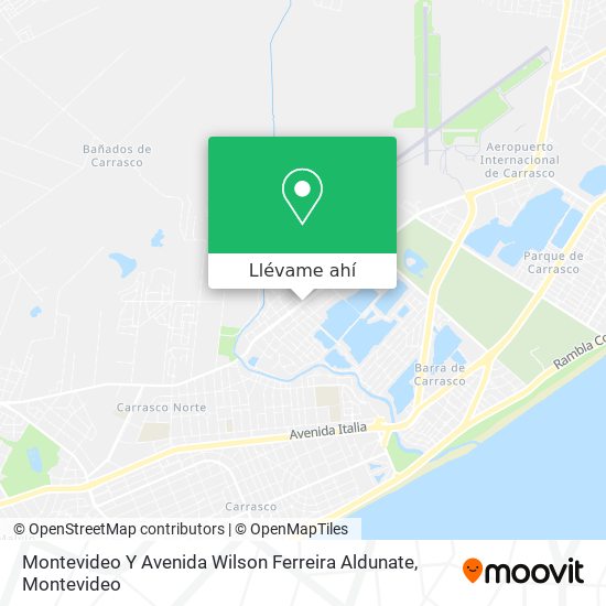 Mapa de Montevideo Y Avenida Wilson Ferreira Aldunate