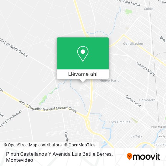 Mapa de Pintin Castellanos Y Avenida Luis Batlle Berres