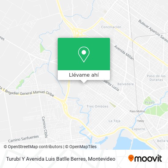 Mapa de Turubí Y Avenida Luis Batlle Berres