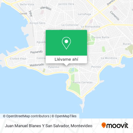 Mapa de Juan Manuel Blanes Y San Salvador