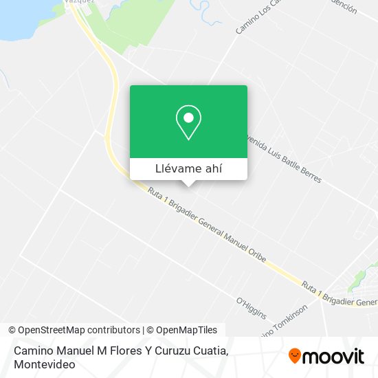 Mapa de Camino Manuel M Flores Y Curuzu Cuatia