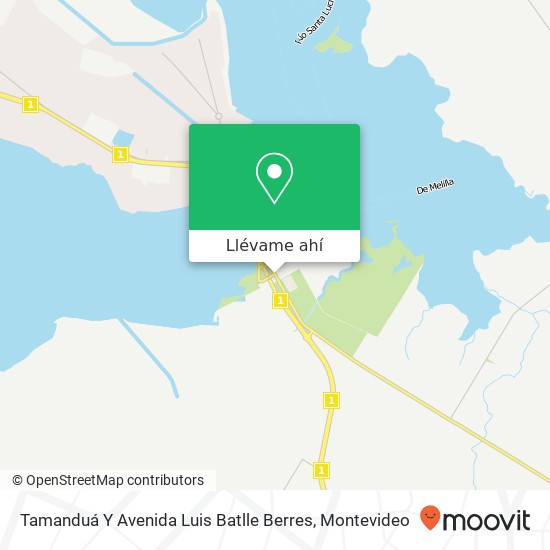 Mapa de Tamanduá Y Avenida Luis Batlle Berres