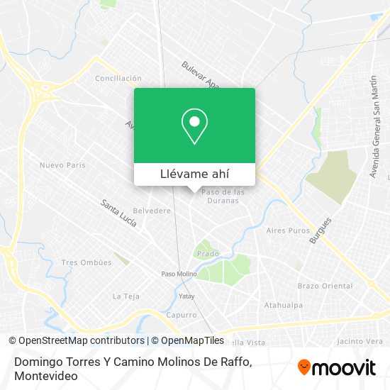 Mapa de Domingo Torres Y Camino Molinos De Raffo