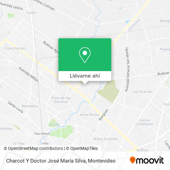 Mapa de Charcot Y Doctor José María Silva