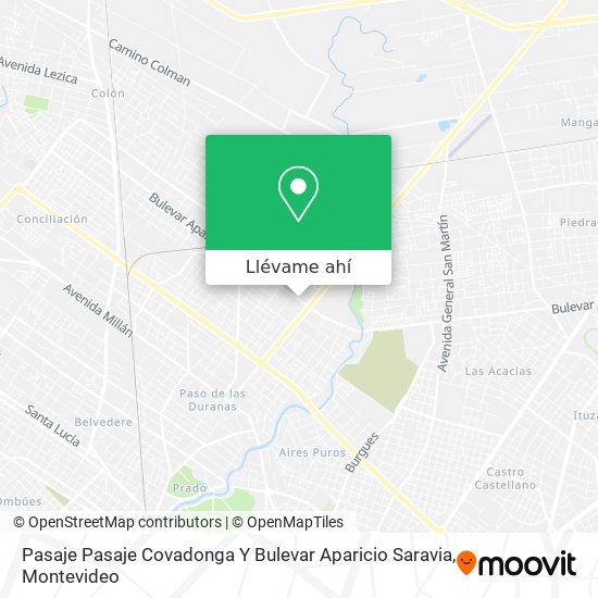 Mapa de Pasaje Pasaje Covadonga Y Bulevar Aparicio Saravia