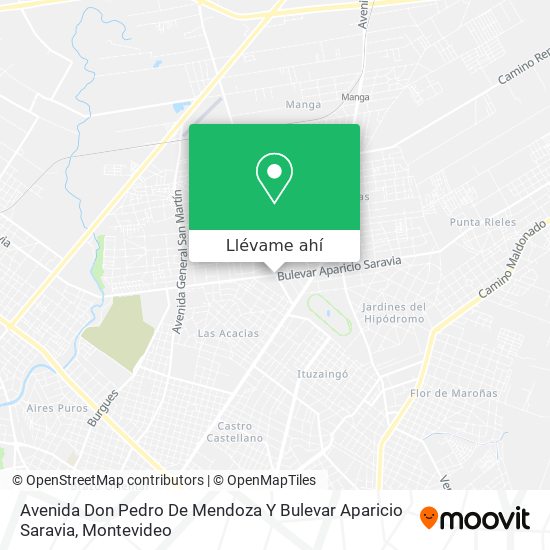 Mapa de Avenida Don Pedro De Mendoza Y Bulevar Aparicio Saravia