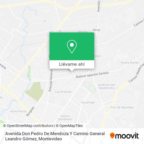 Mapa de Avenida Don Pedro De Mendoza Y Camino General Leandro Gómez
