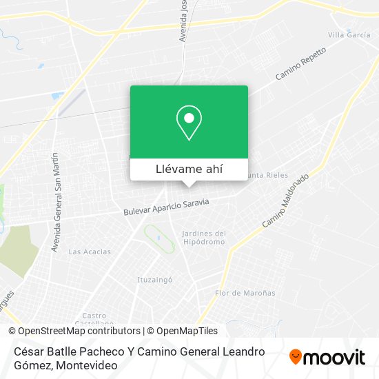 Mapa de César Batlle Pacheco Y Camino General Leandro Gómez