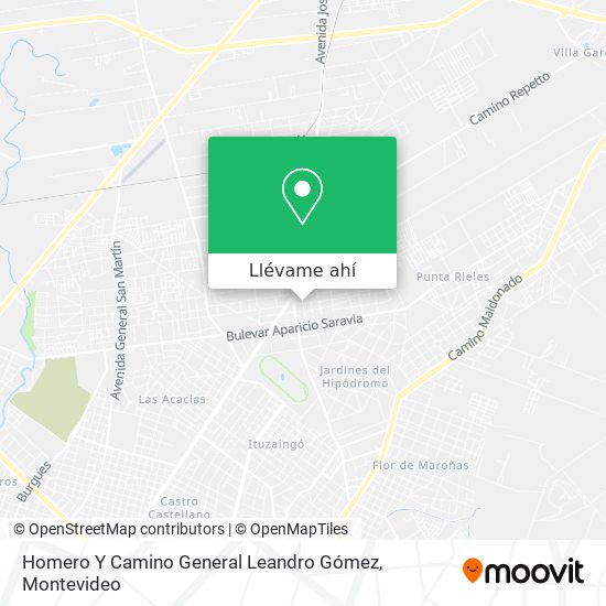 Mapa de Homero Y Camino General Leandro Gómez