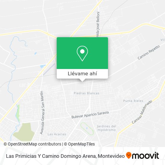 Mapa de Las Primicias Y Camino Domingo Arena