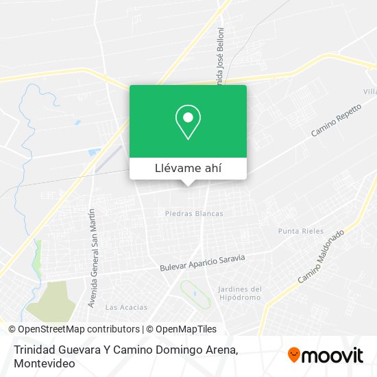 Mapa de Trinidad Guevara Y Camino Domingo Arena