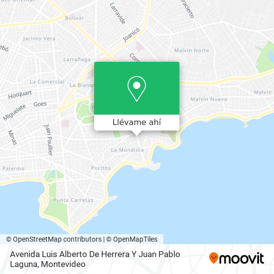 Mapa de Avenida Luis Alberto De Herrera Y Juan Pablo Laguna