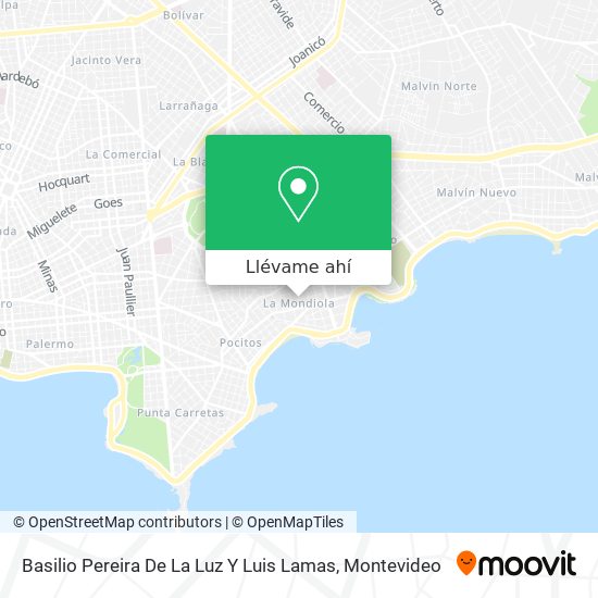 Mapa de Basilio Pereira De La Luz Y Luis Lamas