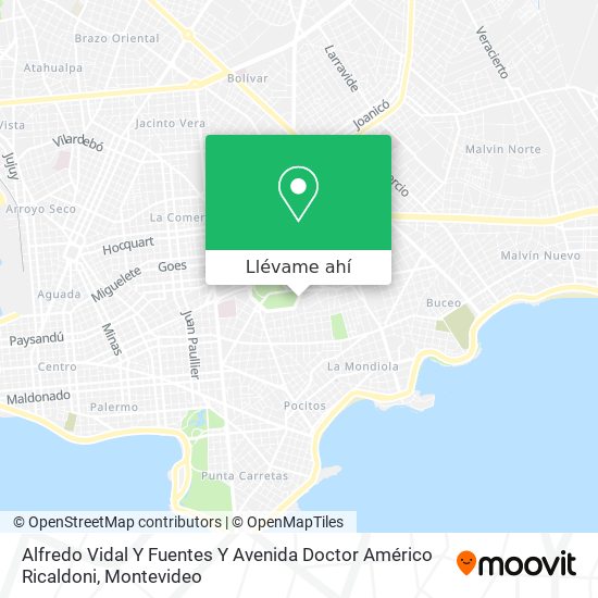 Mapa de Alfredo Vidal Y Fuentes Y Avenida Doctor Américo Ricaldoni