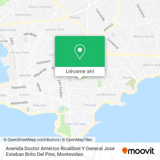 Mapa de Avenida Doctor Américo Ricaldoni Y General José Esteban Brito Del Pino