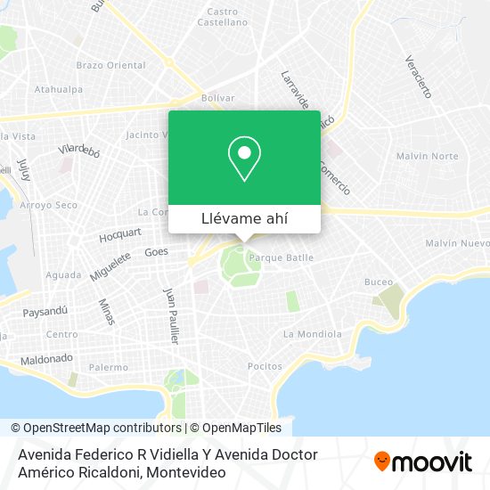 Mapa de Avenida Federico R Vidiella Y Avenida Doctor Américo Ricaldoni