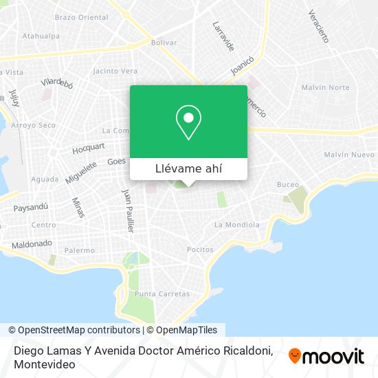 Mapa de Diego Lamas Y Avenida Doctor Américo Ricaldoni