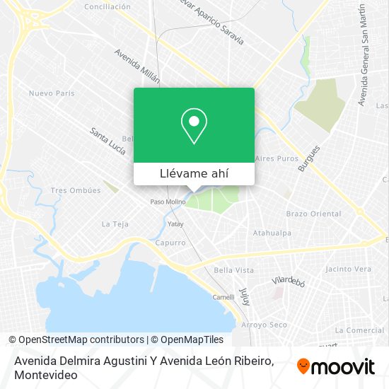 Mapa de Avenida Delmira Agustini Y Avenida León Ribeiro