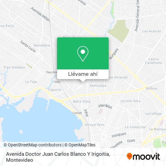 Mapa de Avenida Doctor Juan Carlos Blanco Y Irigoitia